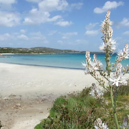 Vista Golfo 2 By Interhome Apartment *